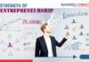Strength of Entrepreneurship: Planning and Execution