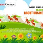 What Ants can Teach us About Business – Business Connect