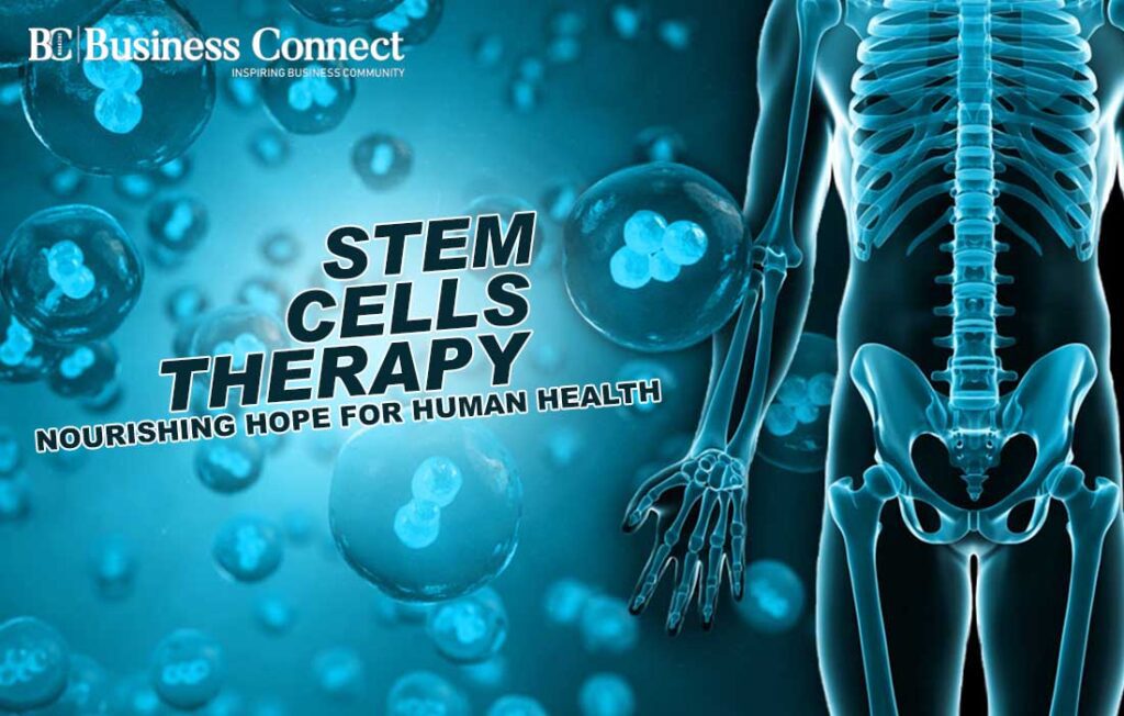 STEM CELLS | Business Connect
