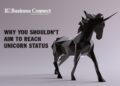 Unicorn Status Business Connect Magazine