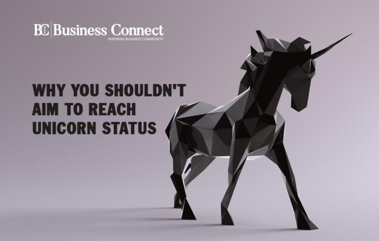 Unicorn Status Business Connect Magazine