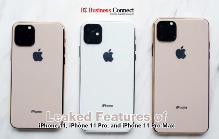 Apple iPhone 11 Release date in india-Business Connect