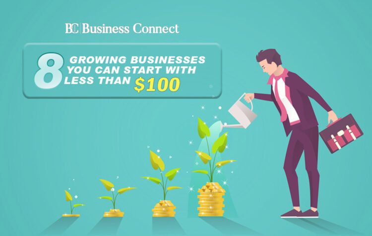 8 Growing businesses | Business Connect