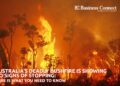 Australian bushfires | Business Connect