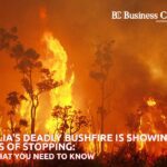 Australian bushfires  | Business Connect