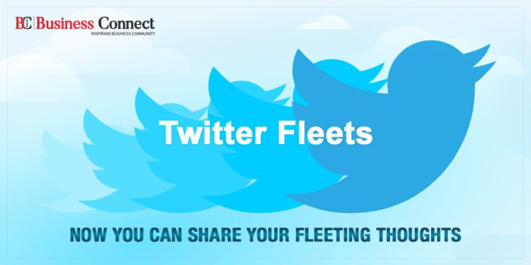Twitter Fleets | Business Connect