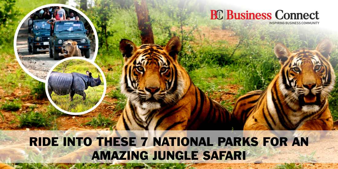 Ride Into These 7 National Parks for an Amazing Jungle Safari