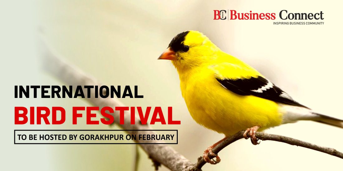 International Bird Festival to be hosted by Gorakhpur on Feb