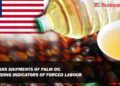 US Bans Shipments of Palm Oil after Finding Indicators of Forced Labour