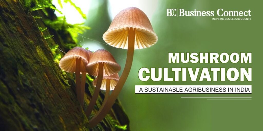 MUSHROOM CULTIVATIONA SUSTAINABLE AGRIBUSINESS IN INDIA.