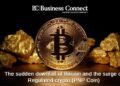 The sudden downfall of Bitcoin and the surge of Regulated crypto(PNP Coin)