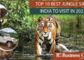 TOP 10 BEST JUNGLE SAFARI IN INDIA TO VISIT IN 2022