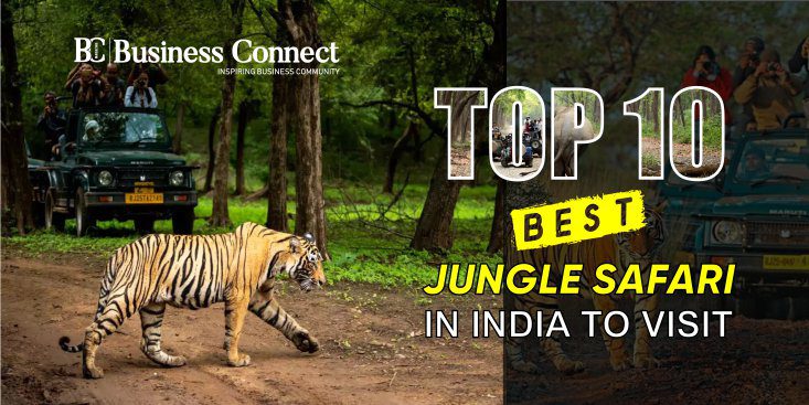 TOP 10 BEST JUNGLE SAFARI IN INDIA TO VISIT