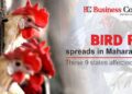 Bird Flu spreads in Maharashtra; These 9states affected so far