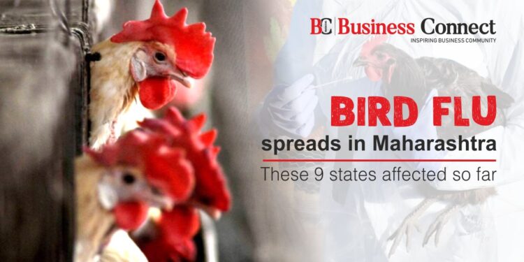 Bird Flu spreads in Maharashtra; These 9states affected so far