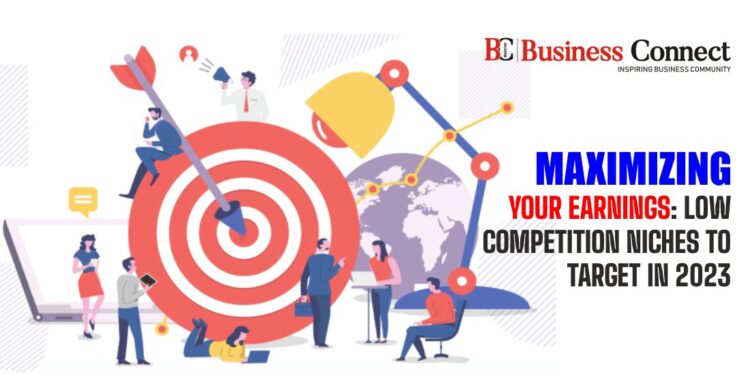 Maximizing Your Earnings: Low Competition Niches to Target in 2023