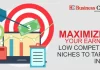 Maximizing Your Earnings: Low Competition Niches to Target in 2024