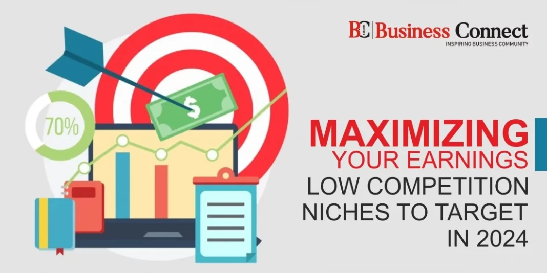 Maximizing Your Earnings: Low Competition Niches to Target in 2024