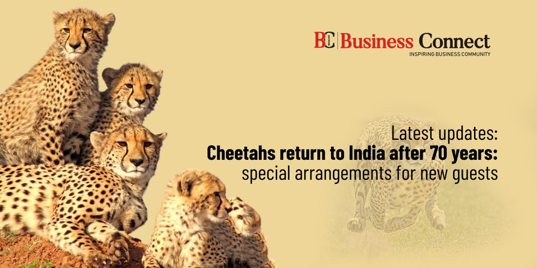 Latest updates: Cheetahs return to India after 70 years; special arrangements for new guests