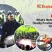 Explained: What's Behind Indonesia's Deadly Football Tragedy That Killed 174 People