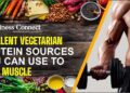 Excellent Vegetarian Protein Sources You Can Use to Build Muscle