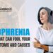 Schizophrenia, A Disorder That Can Fool Your Brain - Symptoms and Causes