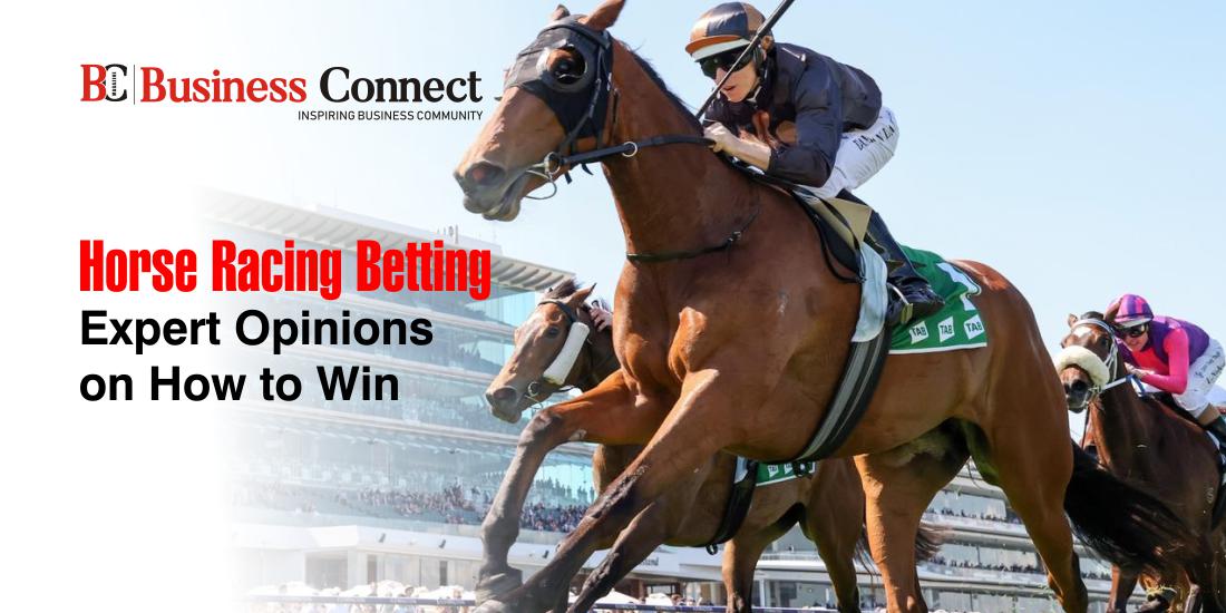 Horse Racing Betting Expert Opinions on How to Win