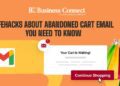 Lifehacks About Abandoned Cart Email You Need To Know