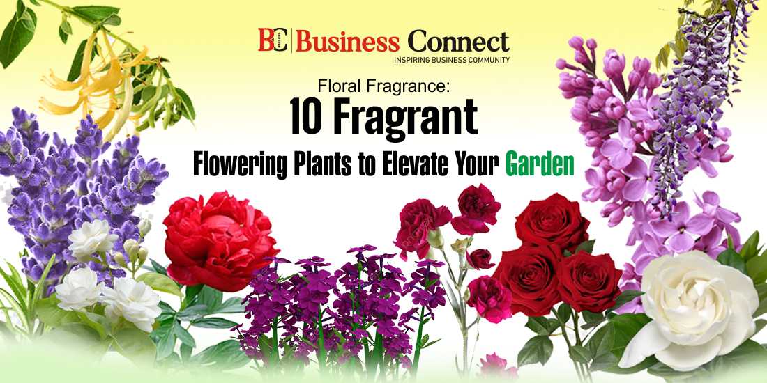 Floral Fragrance: 10 Fragrant Flowering Plants to Elevate Your Garden
