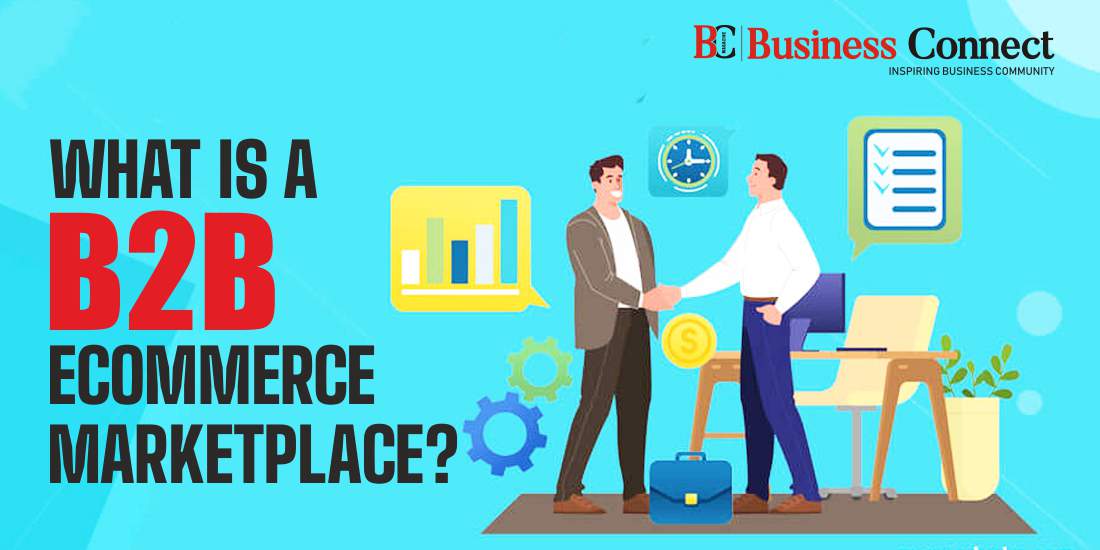 What is a B2B eCommerce Marketplace?