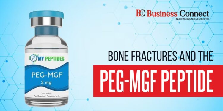 Bone Fractures and the PEG-MGF Peptide