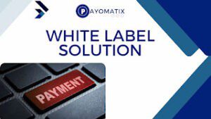 Unleashing the Power of Payomatix White Label Solutions