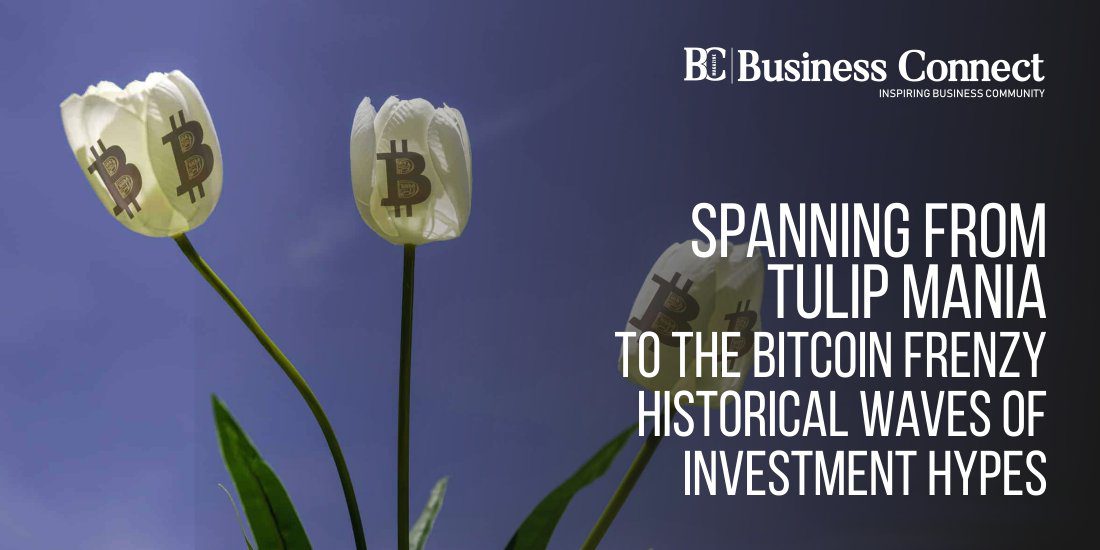Spanning from Tulip Mania to the Bitcoin Frenzy: Historical Waves of Investment Hypes