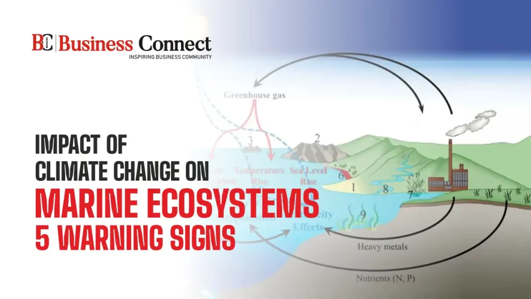 Impact of Climate Change on Marine Ecosystems 5 Warning Signs