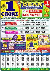 Dear Mahanadi Nagaland State lottery Result 30.1.2025