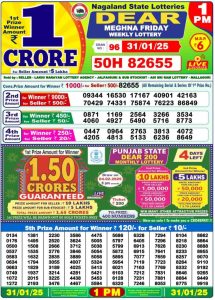 Nagaland State Lottery 31.01.2025 Sambad Lottery Result Today