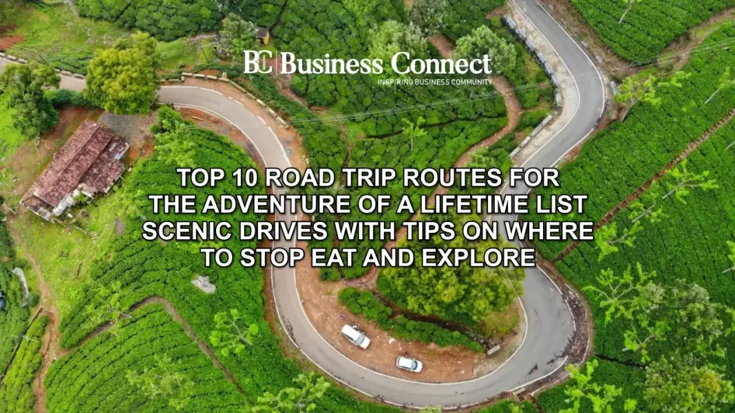 Top 10 road trip routes for the adventure of a lifetime list scenic drives with tips on where