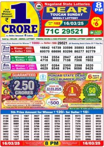 Nagaland State Lottery Sambad Result 16.03.2025: Check 1 PM, 6 PM & 8 PM Winning Numbers