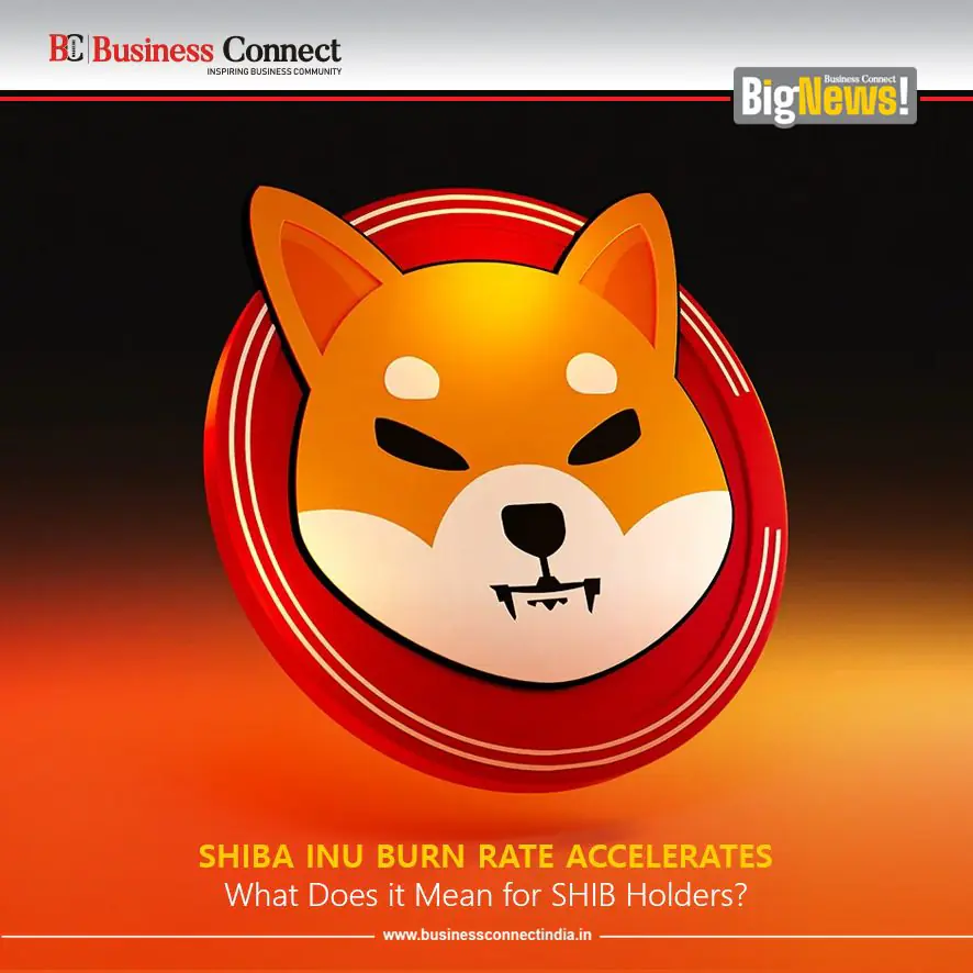 Shiba Inu Burn Rate Accelerates: What Does it Mean for SHIB Holders?