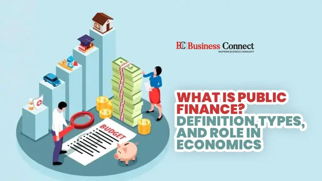What is Public Finance? Definition, Types, and Role in Economics 