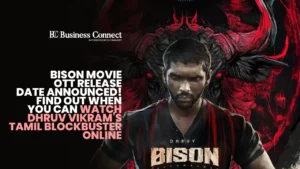 Bison Kaalamaadan's streaming information