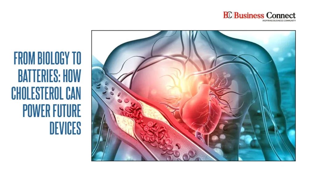 From Biology to Batteries: How Cholesterol Can Power Future Devices From Biology to Batteries: How Cholesterol Can Power Future Devices